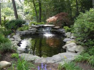 A beutiful water feature (pond) desinged by Custom Garden Landscaping in Pearl River, Rockland County, NY
